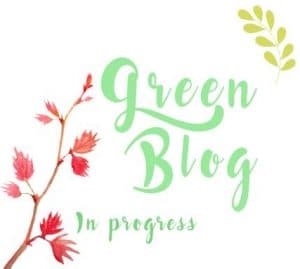 mots-d-maman-defi-green-blog-bio mots-d-maman-defi-green-blog-bio
