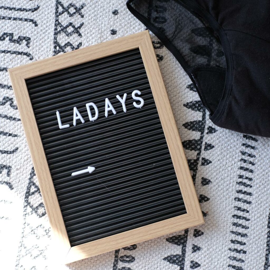 culottes de règles Ladays