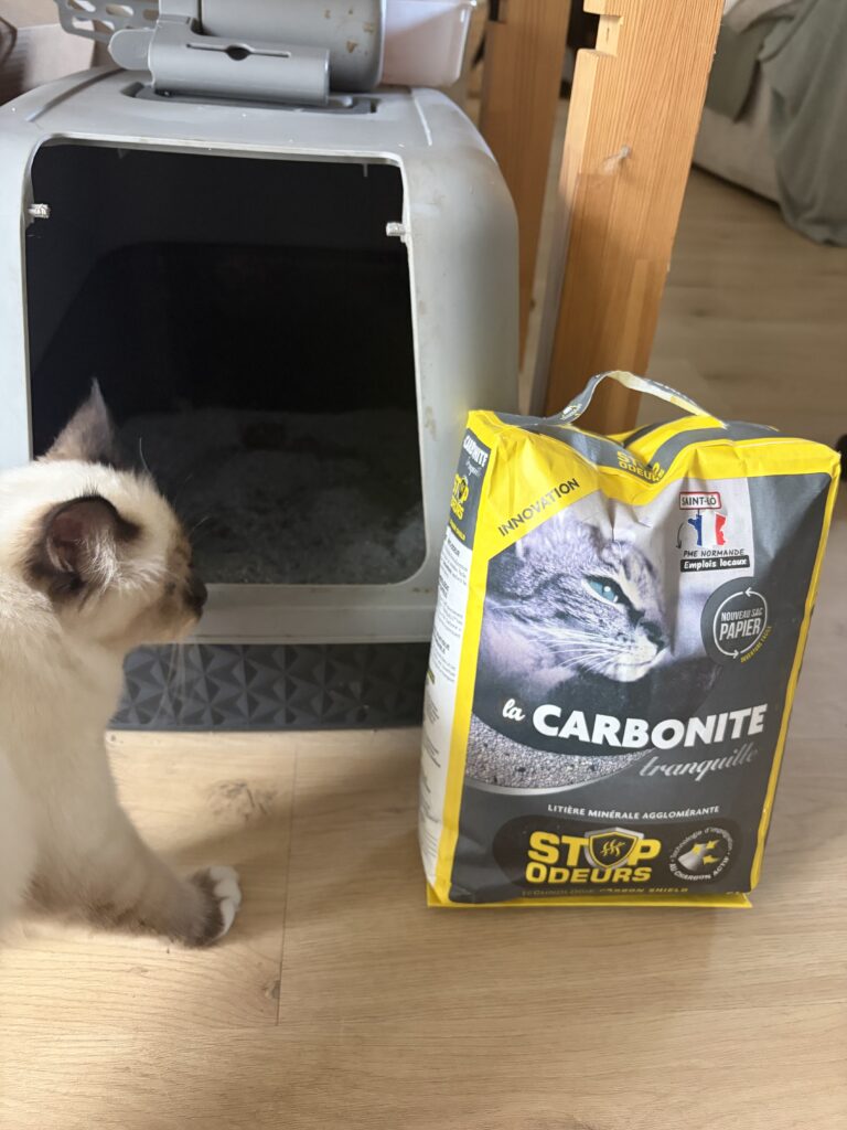 La Carbonite Stop Odeurs Tranquille : mon avis après un mois avec Namy 3 Namy utilise la litière La Carbonite Stop Odeurs Tranquille